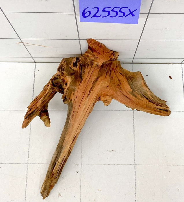 62555X - XINGU Wood Wurzelholz mit geschnittener Grundfläche