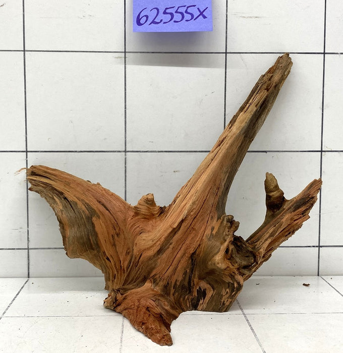 62555X - XINGU Wood Wurzelholz mit geschnittener Grundfläche