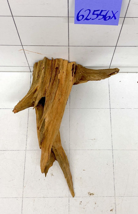 62556X - XINGU Wood Wurzelholz mit geschnittener Grundfläche