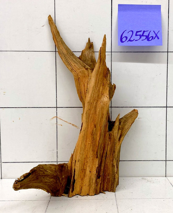 62556X - XINGU Wood Wurzelholz mit geschnittener Grundfläche