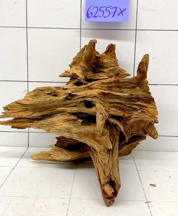 62557X - XINGU Wood Wurzelholz mit geschnittener Grundfläche