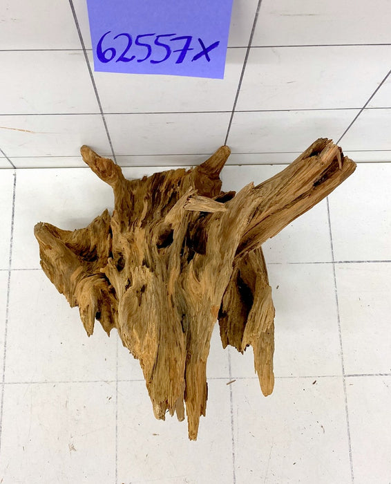 62557X - XINGU Wood Wurzelholz mit geschnittener Grundfläche