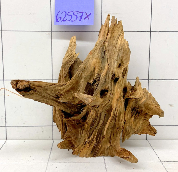 62557X - XINGU Wood Wurzelholz mit geschnittener Grundfläche