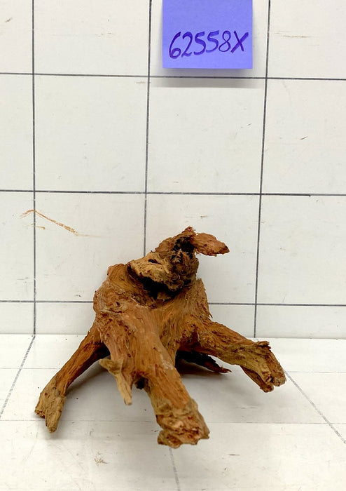 62558X - XINGU Wood Wurzelholz mit geschnittener Grundfläche