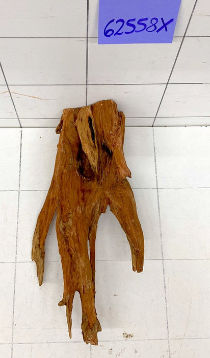 62558X - XINGU Wood Wurzelholz mit geschnittener Grundfläche