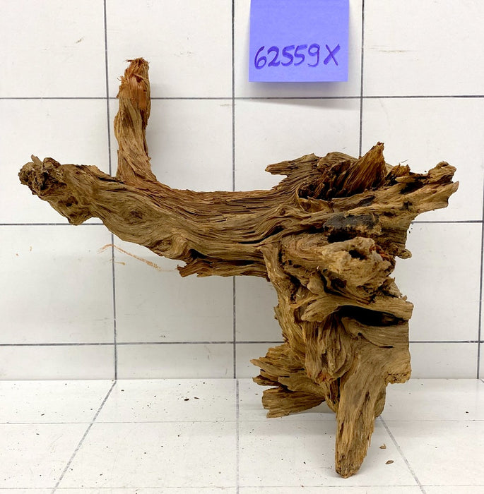 62559X - XINGU Wood Wurzelholz mit geschnittener Grundfläche