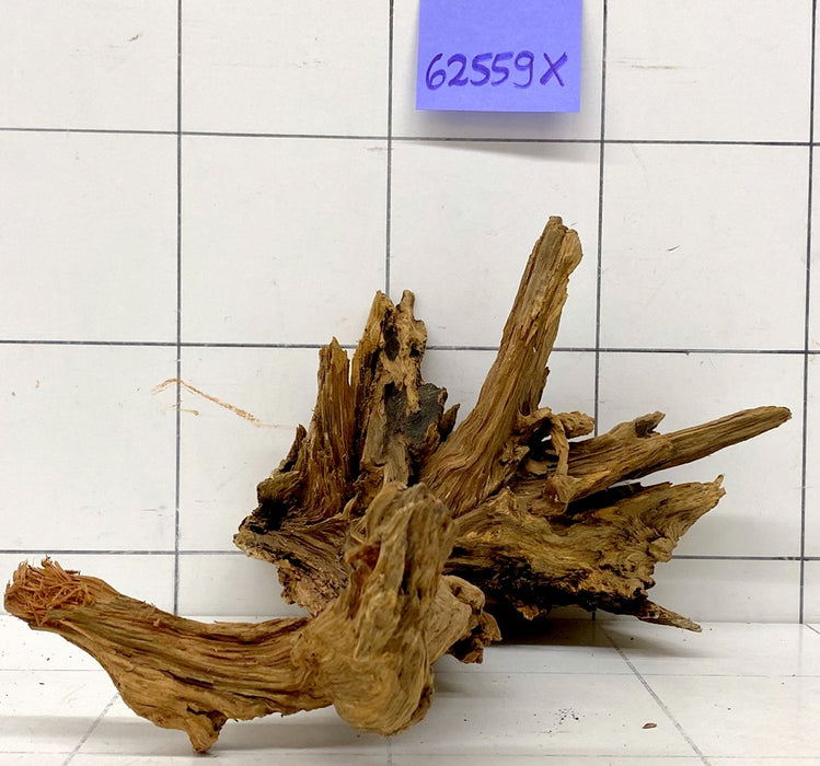 62559X - XINGU Wood Wurzelholz mit geschnittener Grundfläche