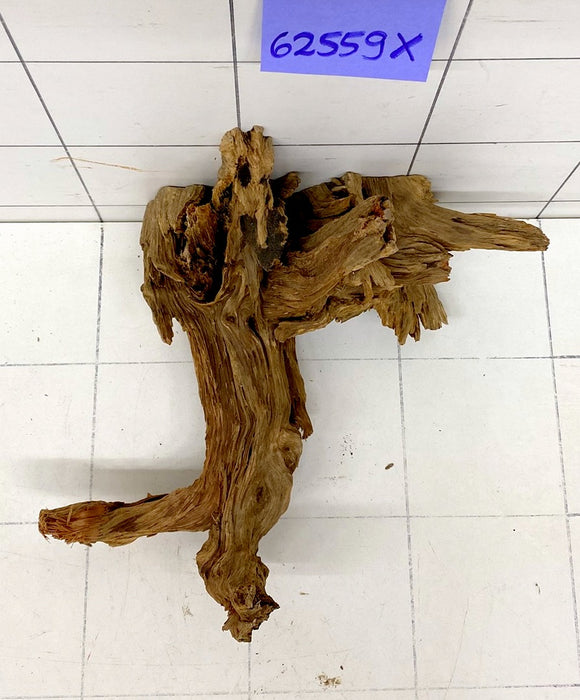 62559X - XINGU Wood Wurzelholz mit geschnittener Grundfläche
