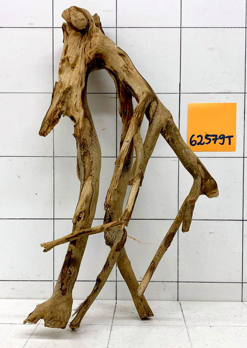 62579T Talawa Wurzel Holz