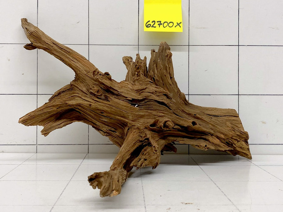 62700X - XINGU Wood Wurzelholz mit geschnittener Grundfläche