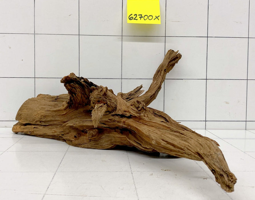 62700X - XINGU Wood Wurzelholz mit geschnittener Grundfläche