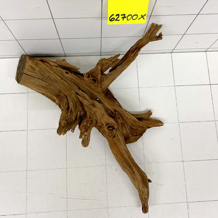 62700X - XINGU Wood Wurzelholz mit geschnittener Grundfläche
