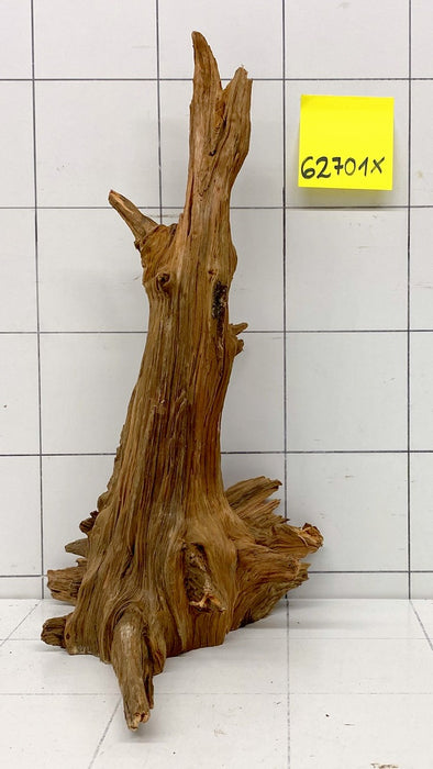 62701X - XINGU Wood Wurzelholz mit geschnittener Grundfläche