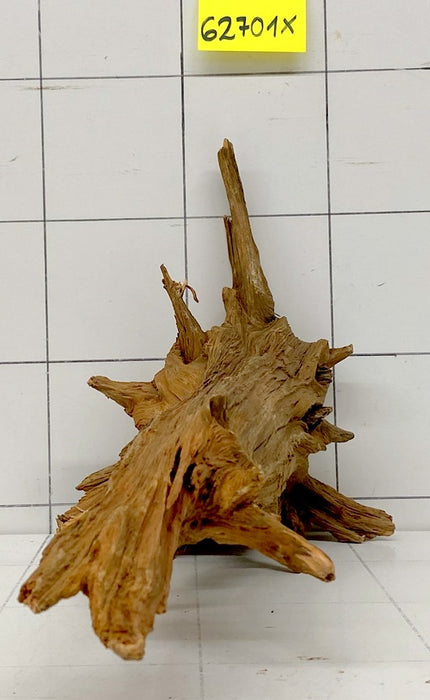 62701X - XINGU Wood Wurzelholz mit geschnittener Grundfläche