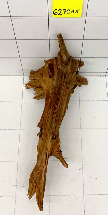 62701X - XINGU Wood Wurzelholz mit geschnittener Grundfläche