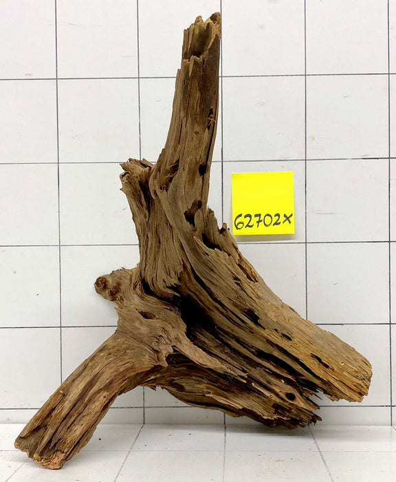 62702X - XINGU Wood Wurzelholz mit geschnittener Grundfläche