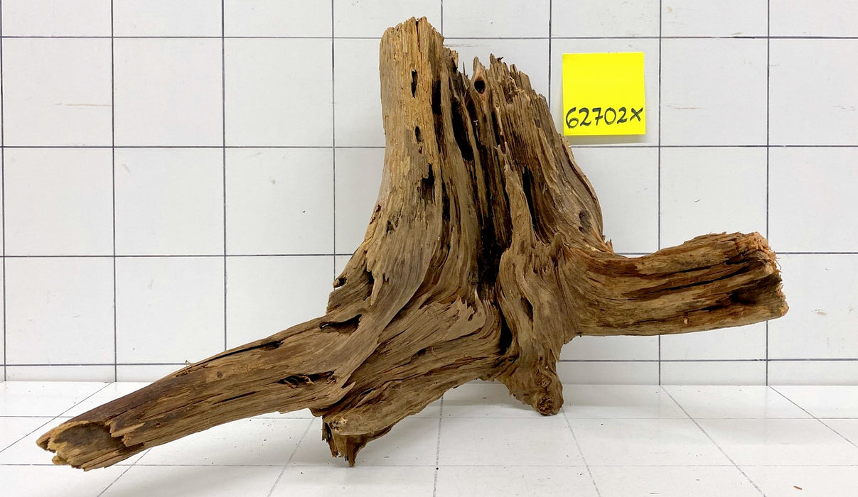 62702X - XINGU Wood Wurzelholz mit geschnittener Grundfläche