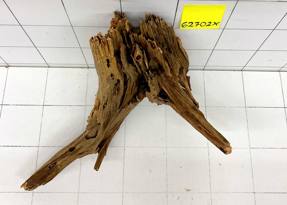 62702X - XINGU Wood Wurzelholz mit geschnittener Grundfläche
