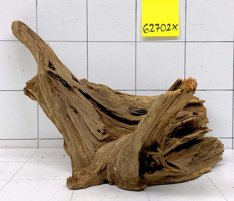 62702X - XINGU Wood Wurzelholz mit geschnittener Grundfläche