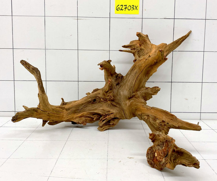 62703X - XINGU Wood Wurzelholz mit geschnittener Grundfläche