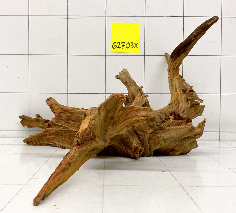 62703X - XINGU Wood Wurzelholz mit geschnittener Grundfläche