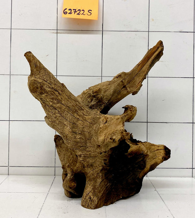 62722S Samoa Wurzel Holz