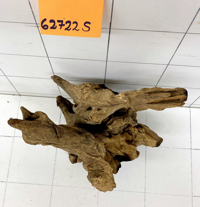 62722S Samoa Wurzel Holz