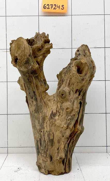 62724S Samoa Wurzel Holz