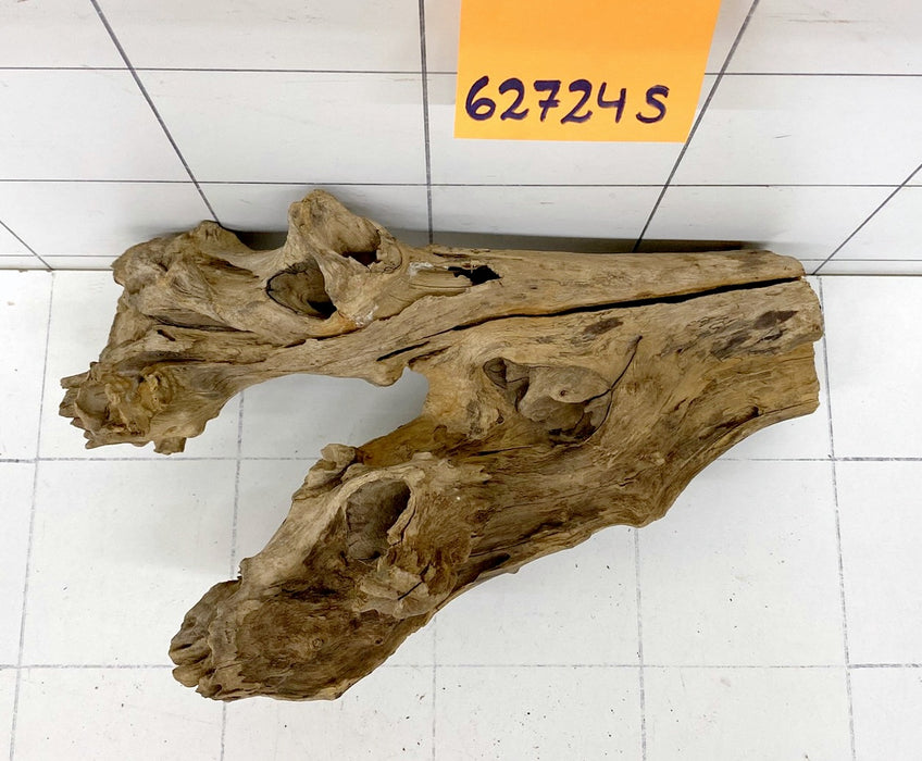 62724S Samoa Wurzel Holz