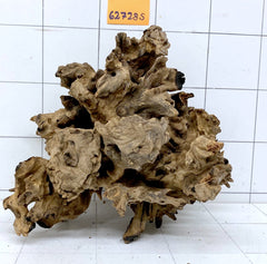 Samoa Wurzel