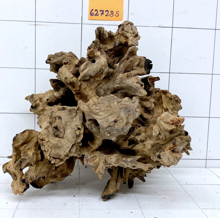 62728S Samoa Wurzel Holz