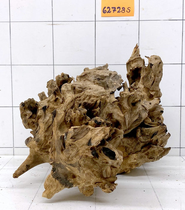 62728S Samoa Wurzel Holz