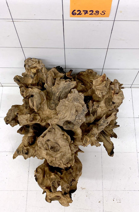 62728S Samoa Wurzel Holz
