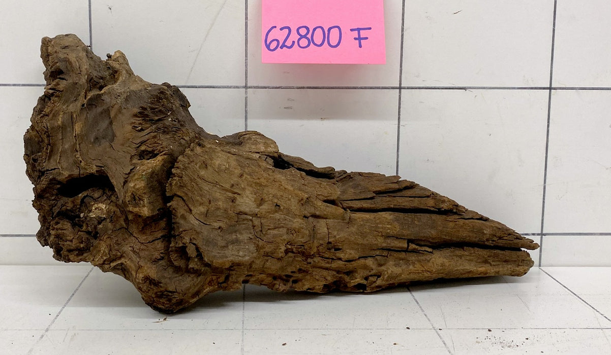 62800F Flussholz / Driftwood / Flusswurzel