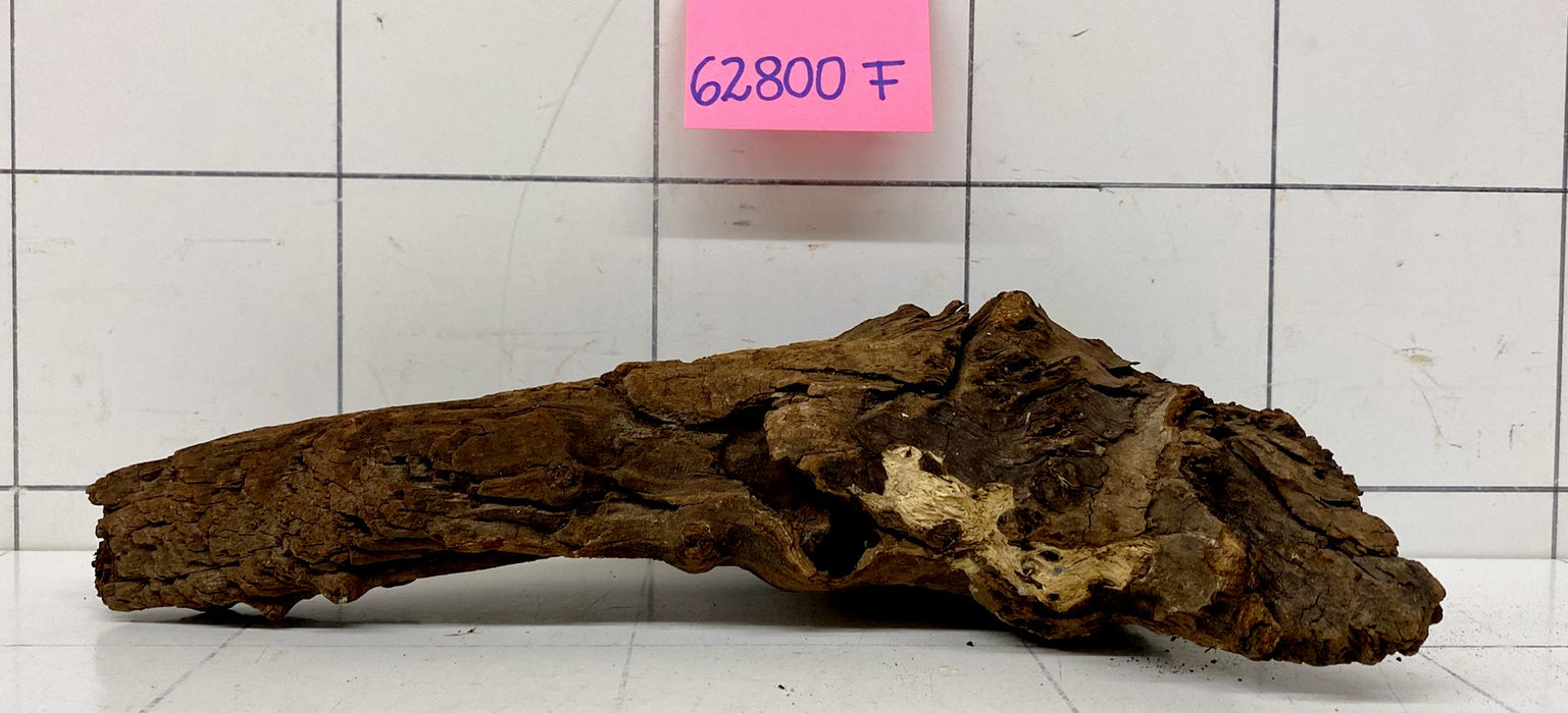 62800F Flussholz / Driftwood / Flusswurzel