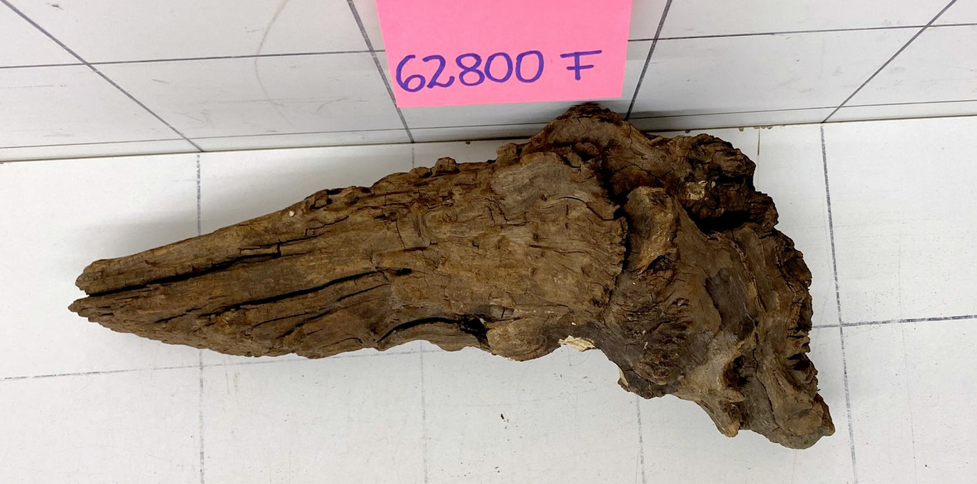 62800F Flussholz / Driftwood / Flusswurzel
