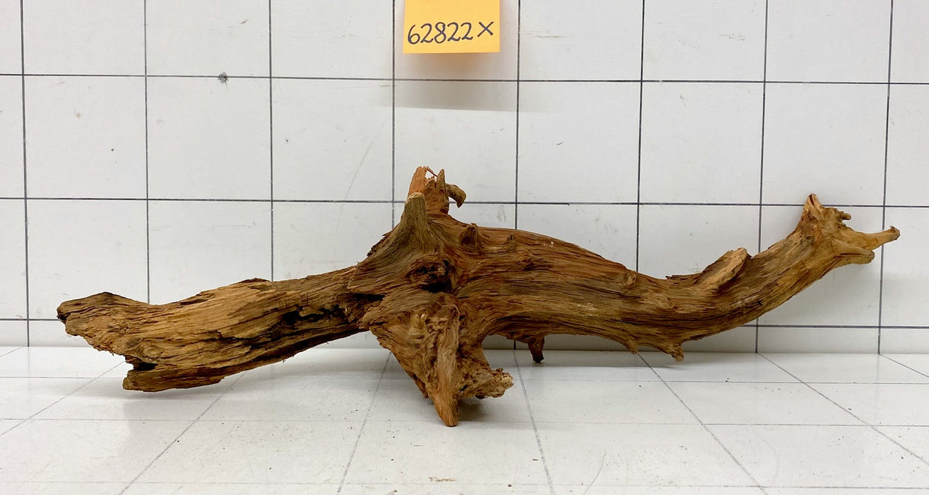 62822X - XINGU Wood Wurzelholz