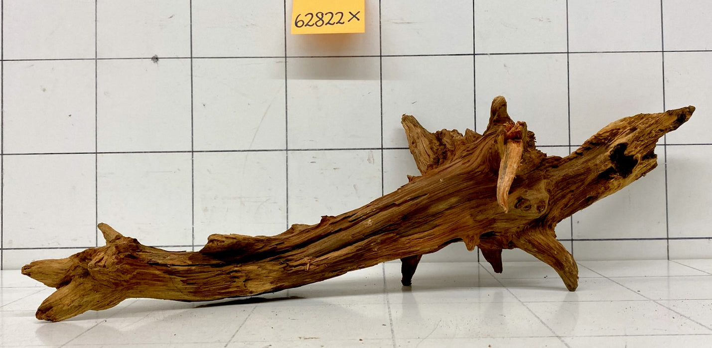 62822X - XINGU Wood Wurzelholz