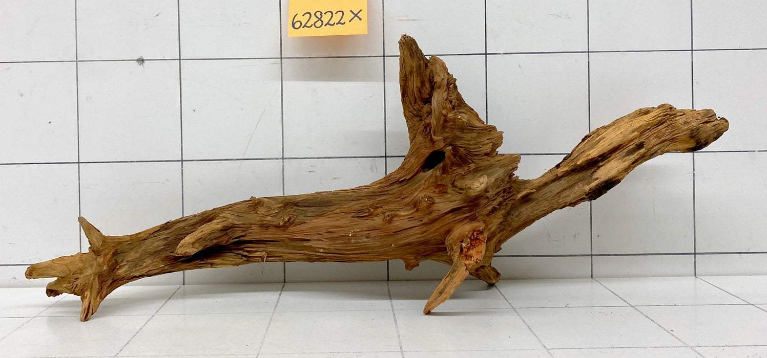 62822X - XINGU Wood Wurzelholz