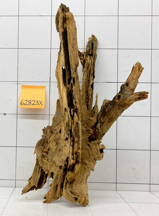 62823X - XINGU Wood Wurzelholz