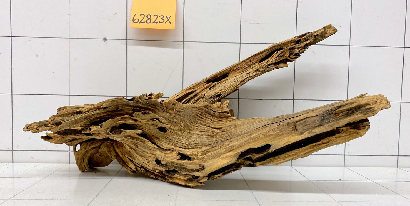 62823X - XINGU Wood Wurzelholz