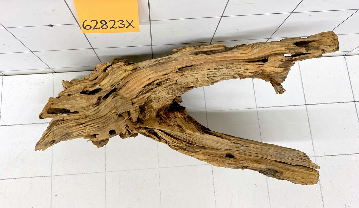 62823X - XINGU Wood Wurzelholz