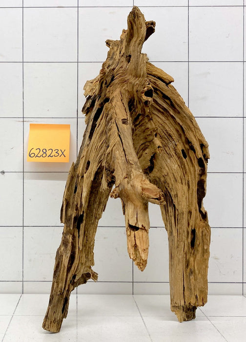 62823X - XINGU Wood Wurzelholz