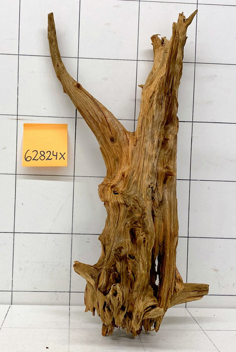 62824X - XINGU Wood Wurzelholz