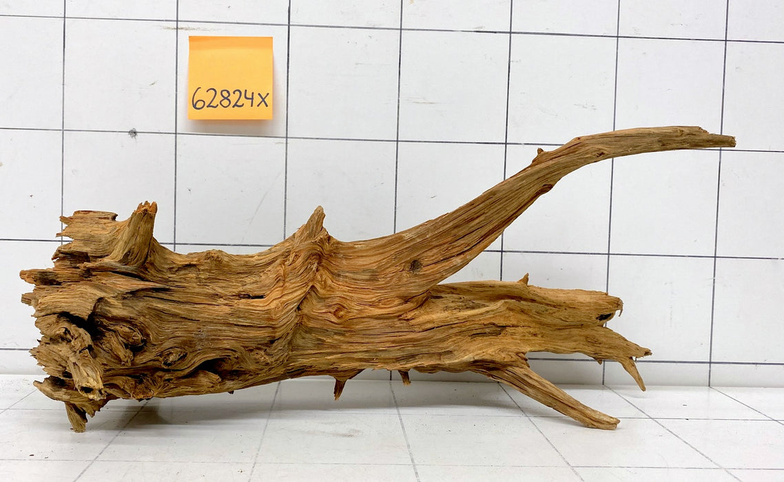 62824X - XINGU Wood Wurzelholz