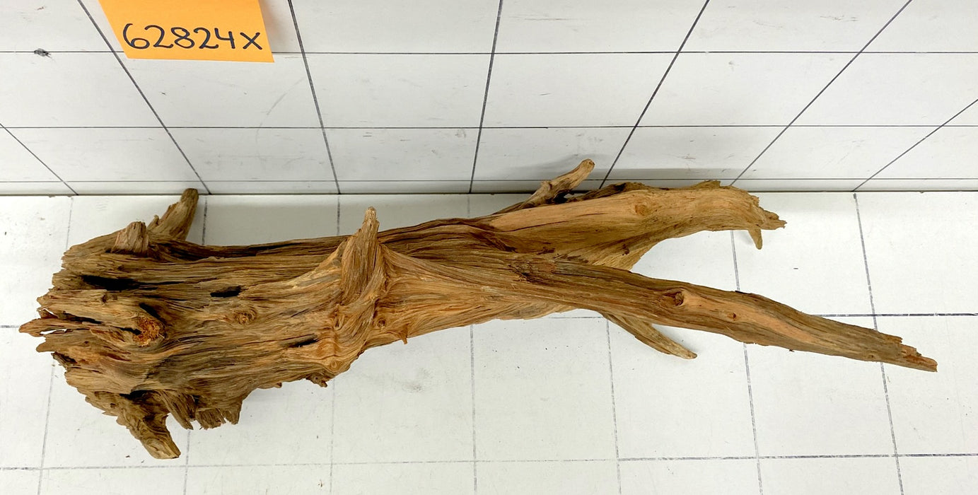 62824X - XINGU Wood Wurzelholz