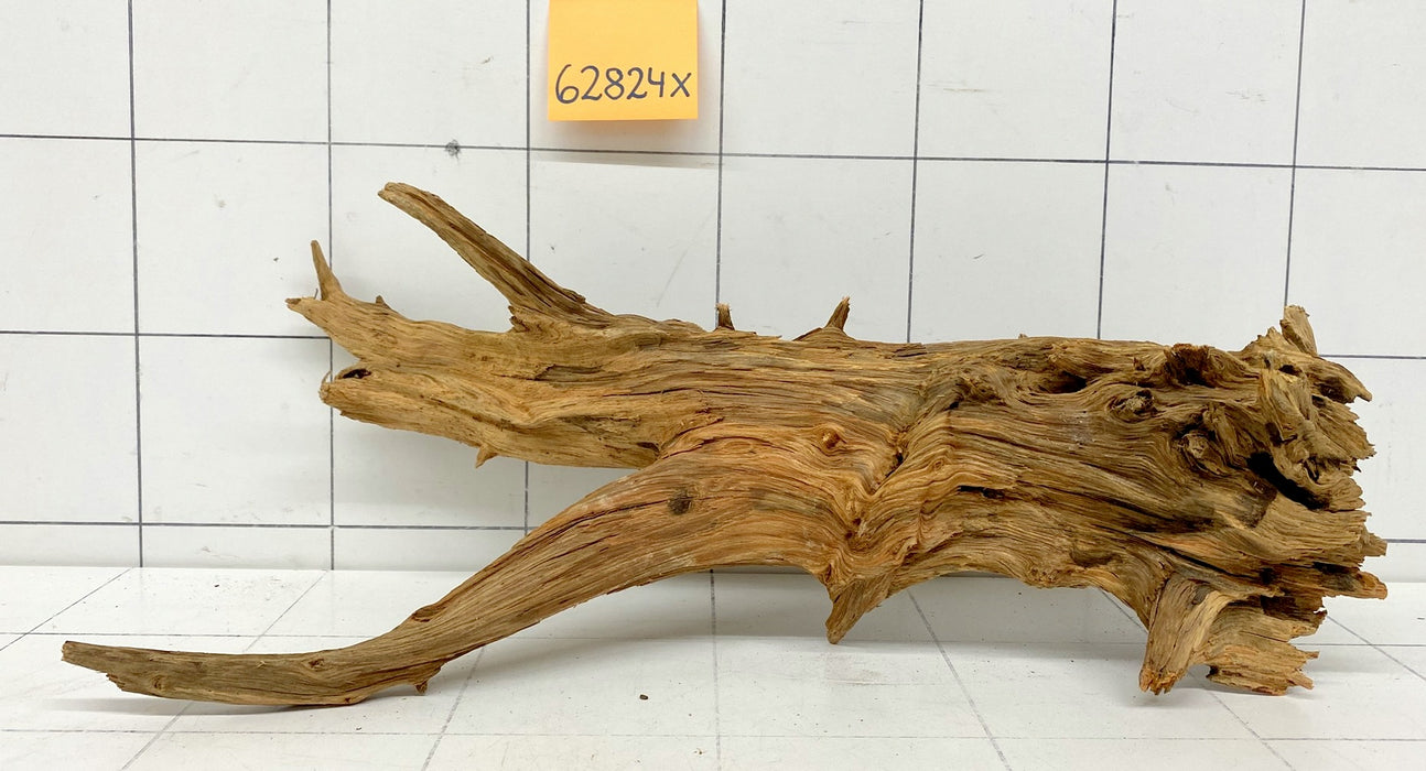 62824X - XINGU Wood Wurzelholz