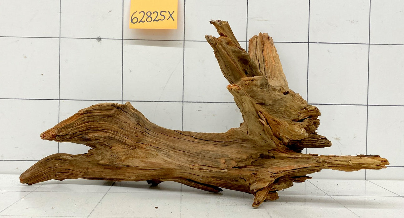 62825X - XINGU Wood Wurzelholz