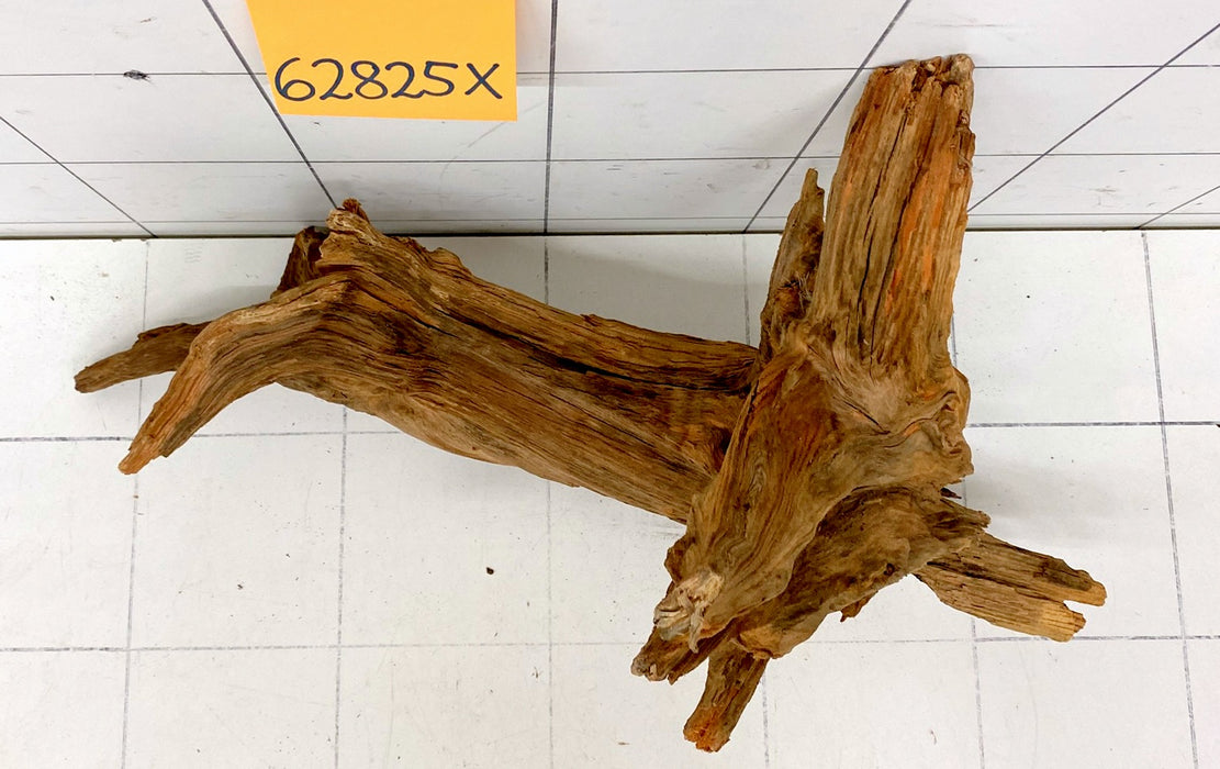 62825X - XINGU Wood Wurzelholz
