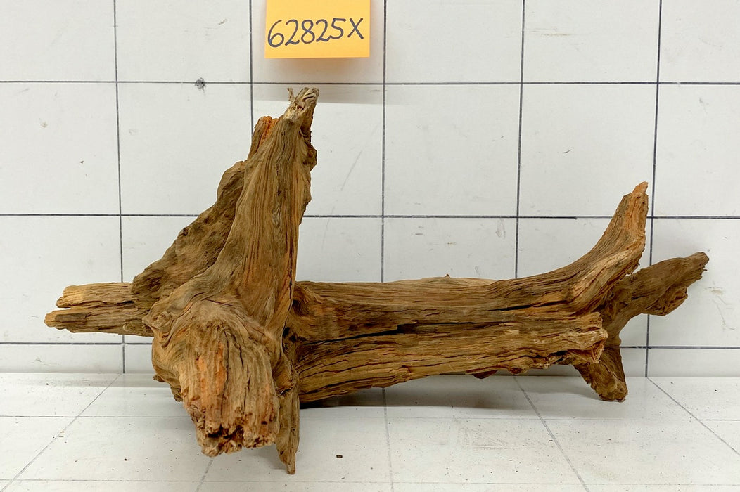 62825X - XINGU Wood Wurzelholz